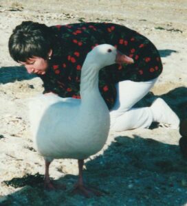 A game bird