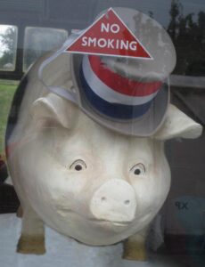 We had an overweight guest on the train back to Corfe Castle