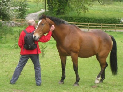 Rob shows his horse whispering skills Rob shows his horse whispering skills