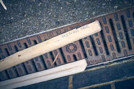 Dazzling Dave was a casualty of the day Dazzling Dave was a casualty of the day